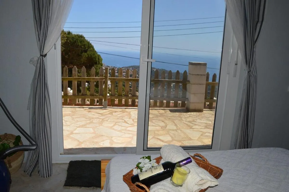 Anglada, Villa With A Private Pool And Jacuzzi 滨海略雷特